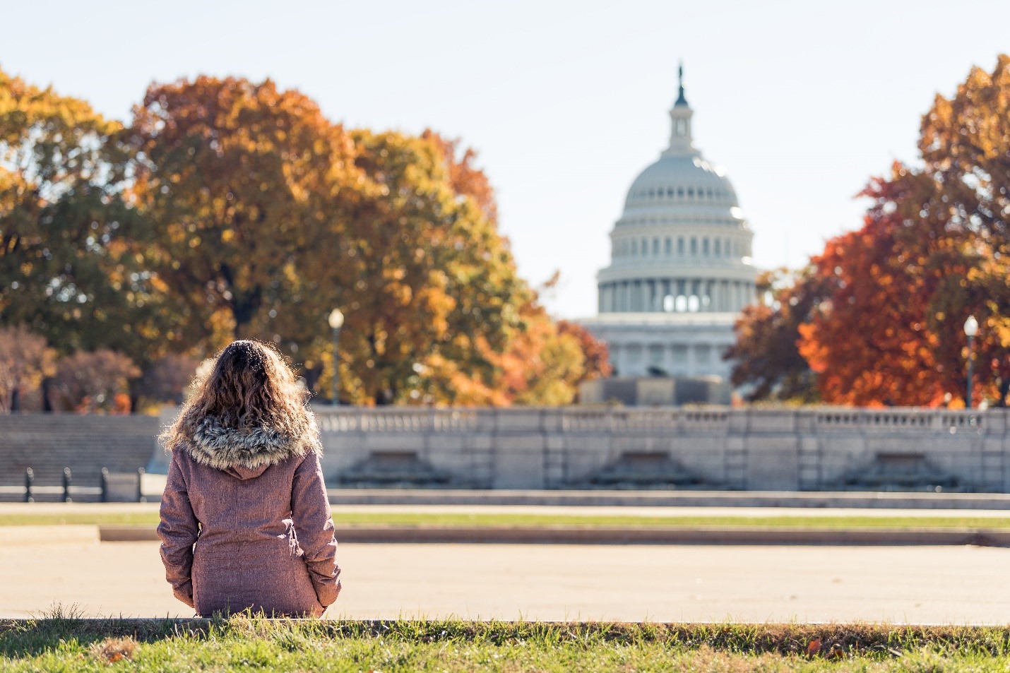 Woman in Washington DC sitting and looking at the U.S. Capitol