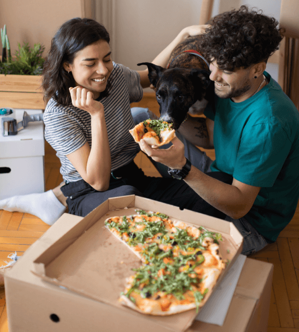 Inquilinos dando de comer pizza a su perro mientras desempacan.